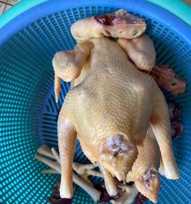 Cách chọn gà ngon để nướng muối hột