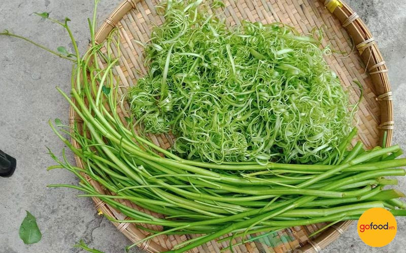 Cách chọn nguyên liệu tươi ngon