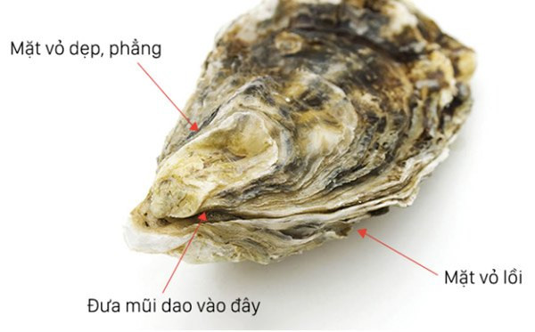 Cách chọn và tách vỏ hàu