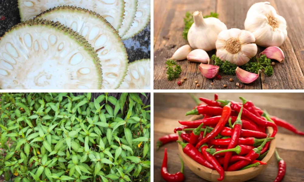 Ingredients for Jackfruit Braised with Pepper