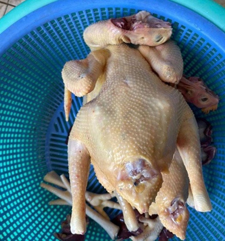 Chọn gà ta tươi ngon để làm gà hấp muối tiêu
