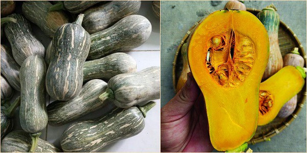 Choose pumpkins with stems and smooth skin