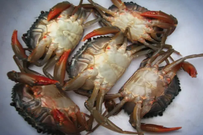 How to Mix Tempura Batter