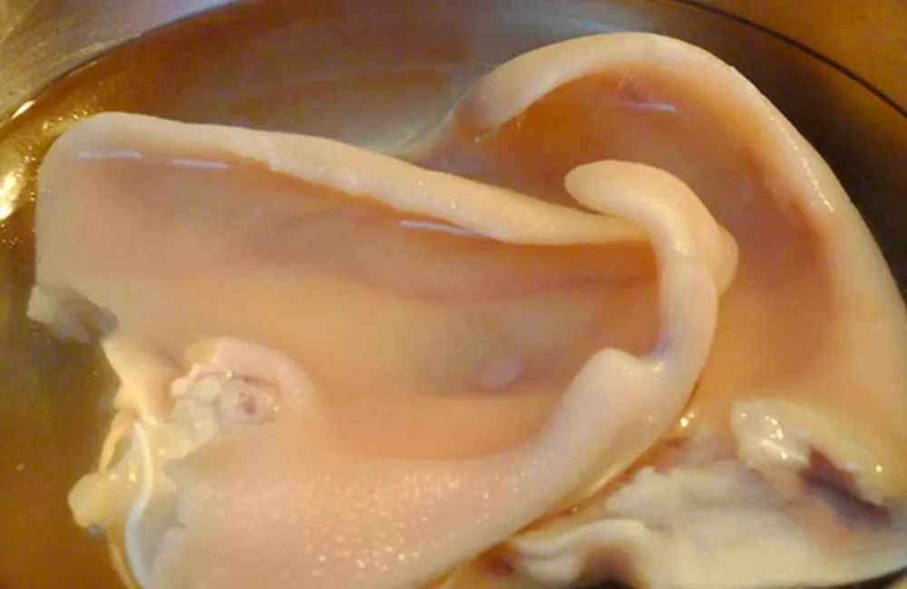 Preparing the pork ear