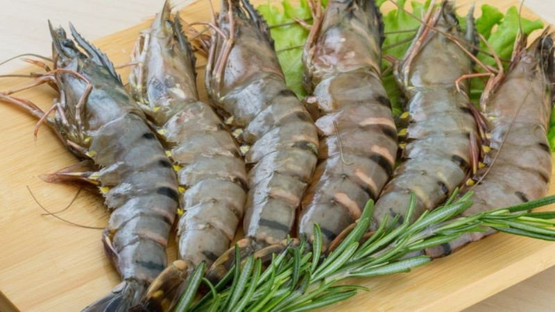 Một số lợi ích từ tôm