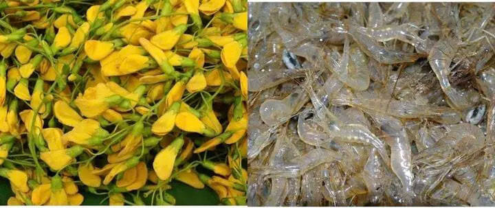Nguyên liệu chính cho món gỏi bông điên điển