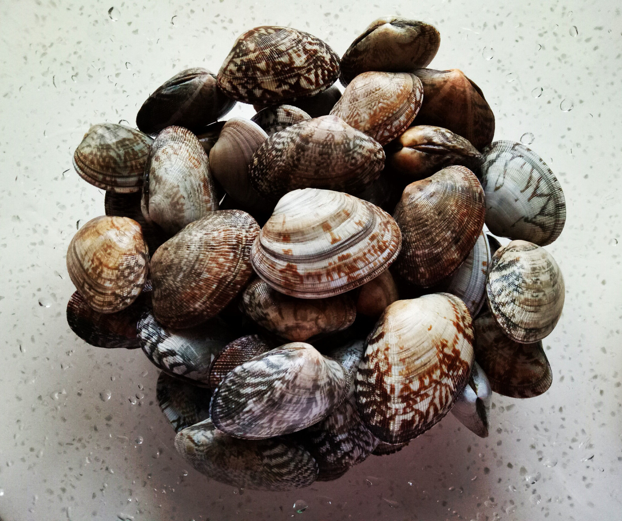 Nguyên liệu làm ngao xào tỏi ớt