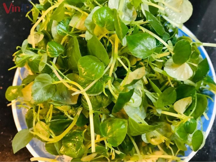 Fresh green water spinach