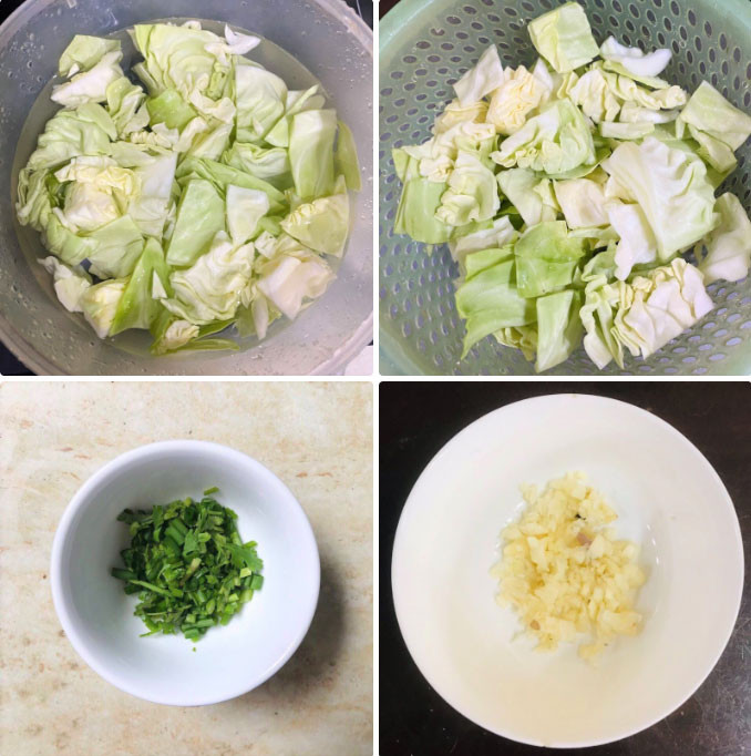 Preparación de la col
