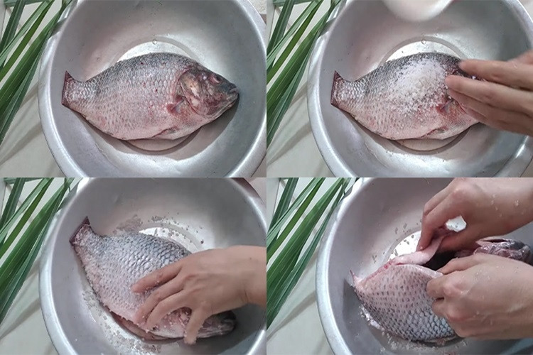 Properly Preparing Tilapia