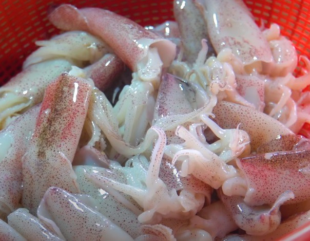 Close-up of cleaning and preparing fresh squid
