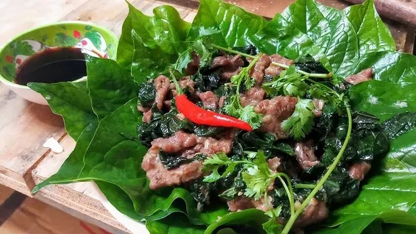 Vietnamese beef and piper lolot stir-fry - A delicious and nutritious dish