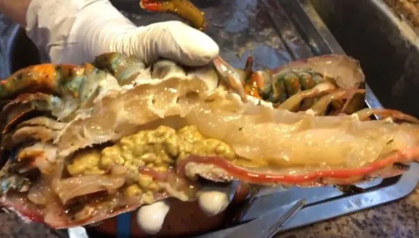 Langosta cortada por la mitad