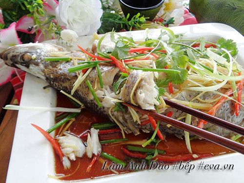 Ginger and scallion steamed fish viewed from above