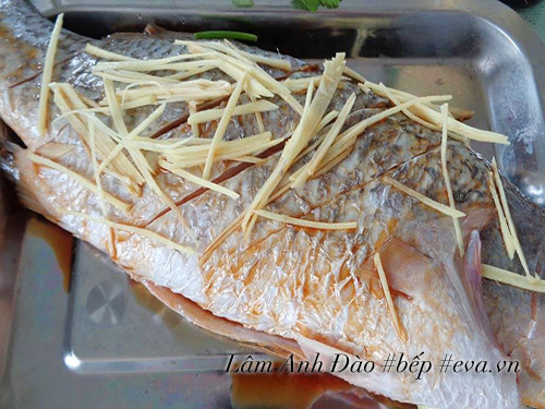 Preparing the fish before steaming