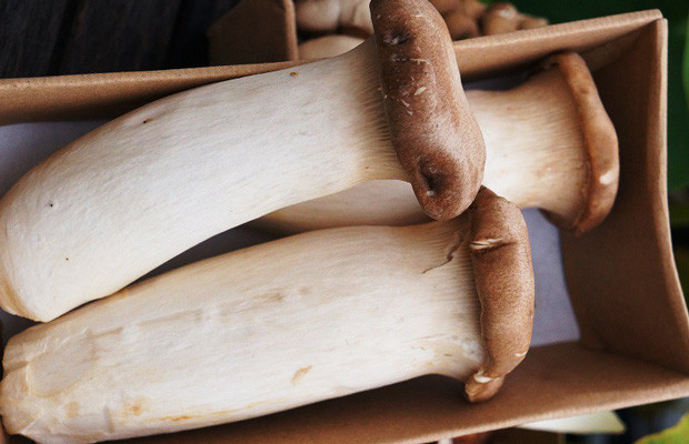 gỏi nấm đùi gà chay