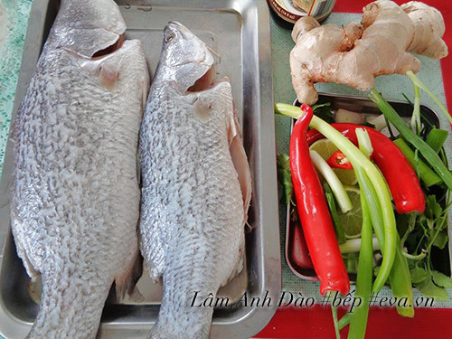 Nguyên liệu chính cho món cá hấp gừng hành