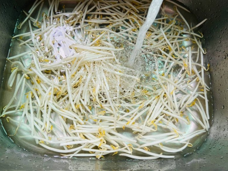 Rinsing bean sprouts