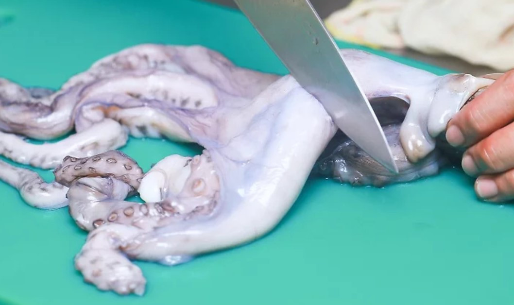 Cắt phần xúc tu