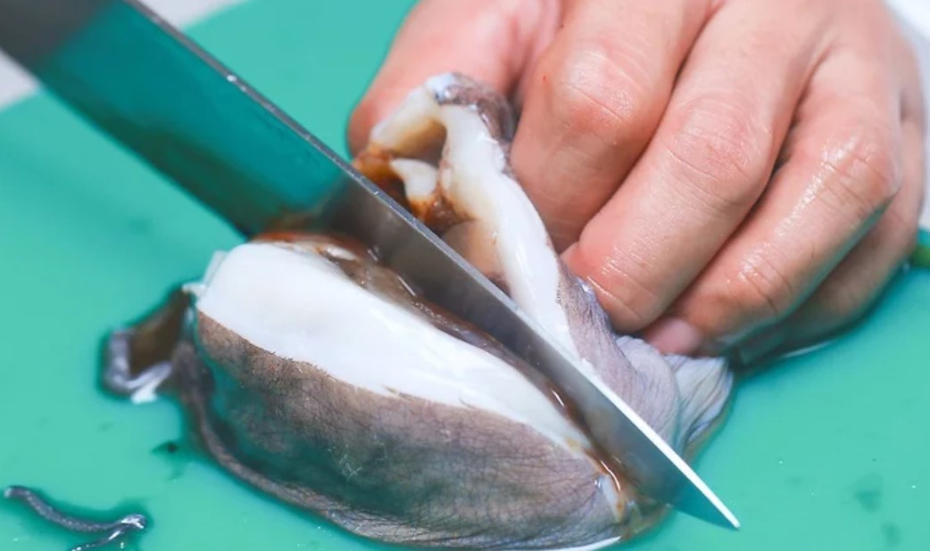 Cắt phần đầu bạch tuộc