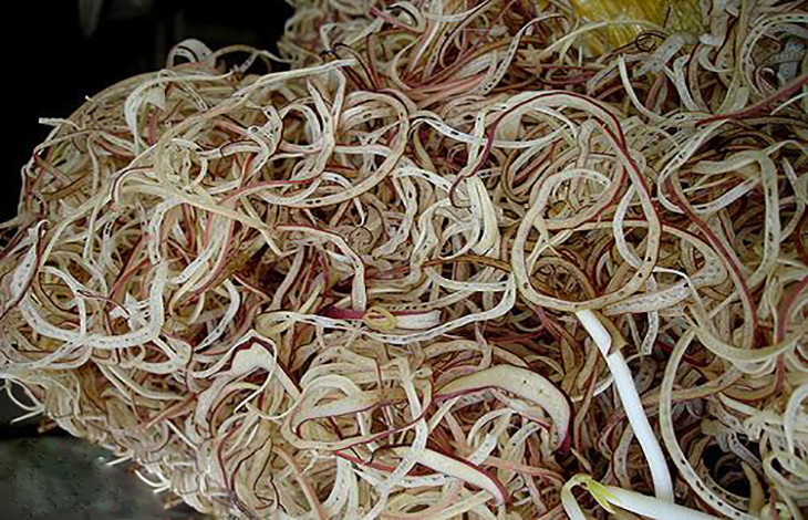 Preparación de ingredientes para la ensalada tradicional de flor de plátano vegetariana