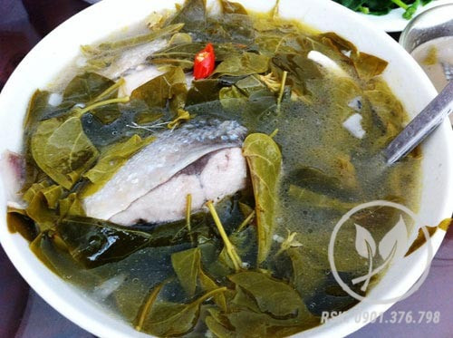 Canh lá giang