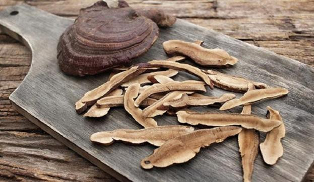 Nấm linh chi các loại