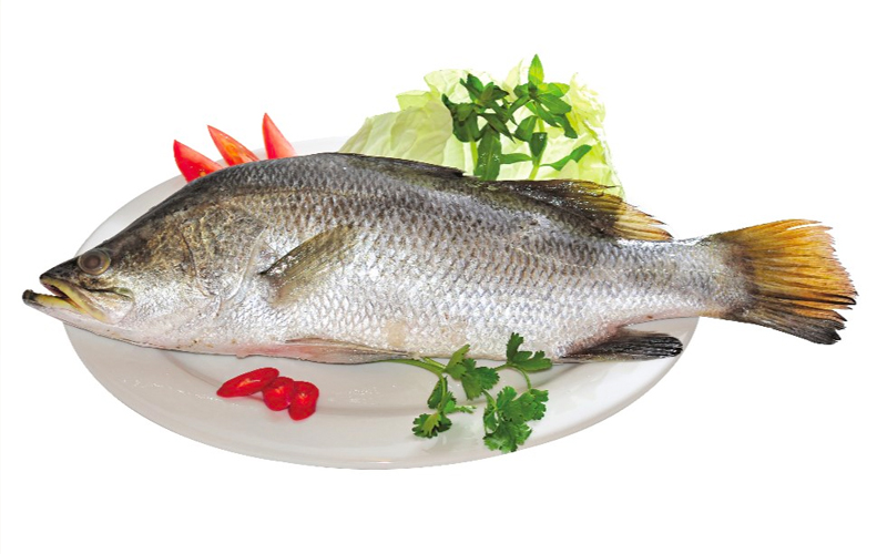 Hướng dẫn nấu cá chẽm nấu ngót cà chua thơm ngọt 2 Cá chẽm là gì? Loại cá giàu dinh dưỡng ít gây ngán
