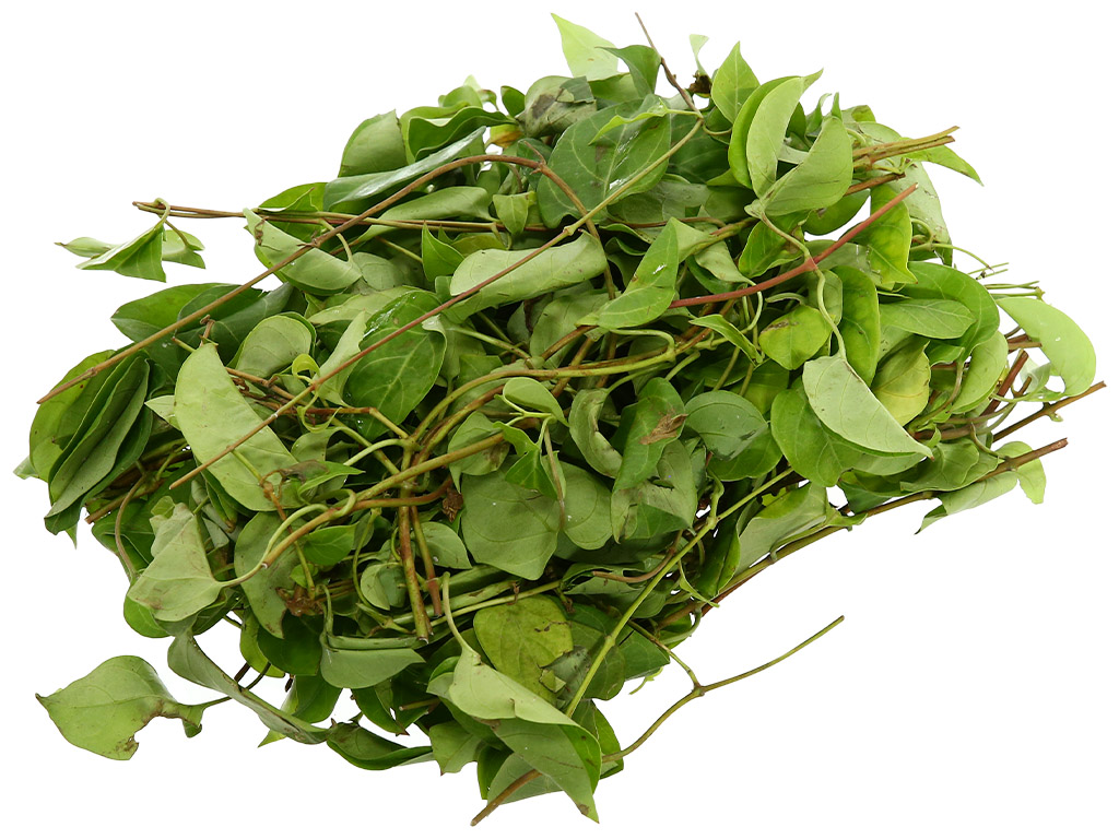 Hướng dẫn nấu canh gà lá giang chua thanh mát 3 Lá giang mua ở đâu, cách chọn lá tươi ngon
